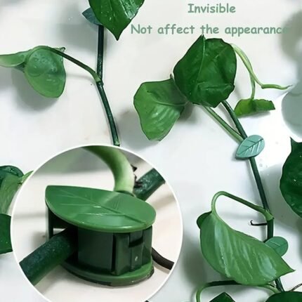 Plant Climbing Wall Clips Support for Indoor/Outdoor (10 Pcs Set)